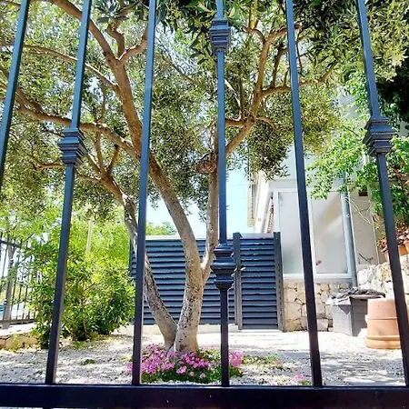 Apartment Ankora *